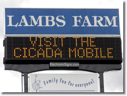 Lambs Farm, Amber Roadstar, 24x80 matrix
